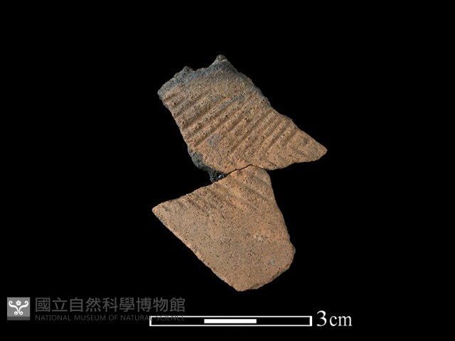 陶片藏品圖，第1張