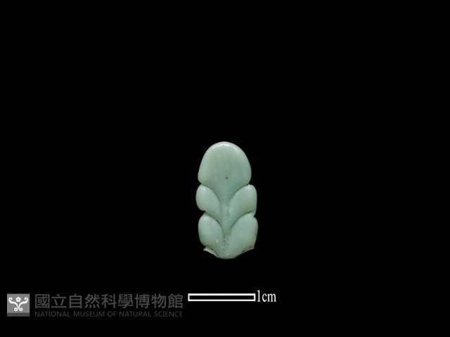 飾品藏品圖，第1張
