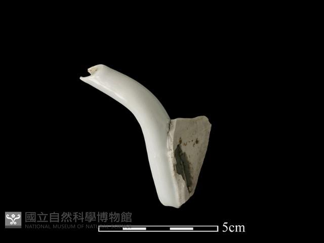 茶壺藏品圖，第1張