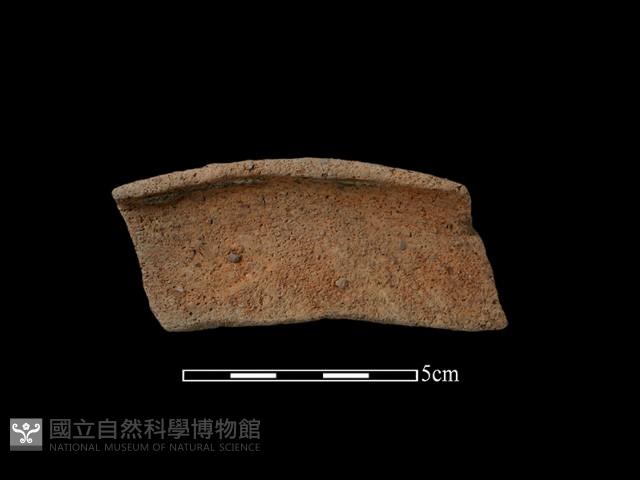 陶片藏品圖，第2張