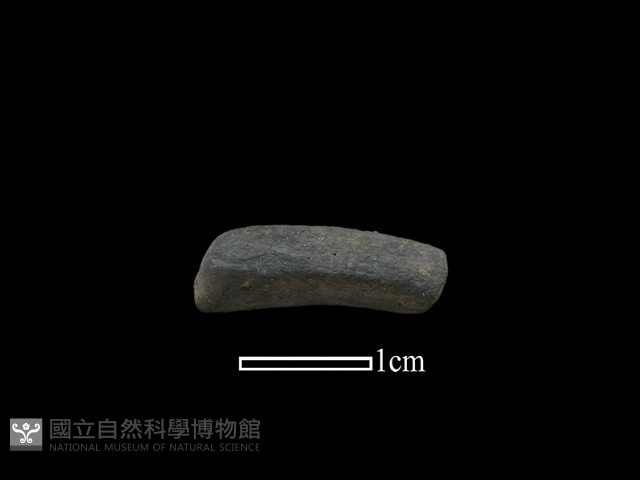 陶環藏品圖，第1張