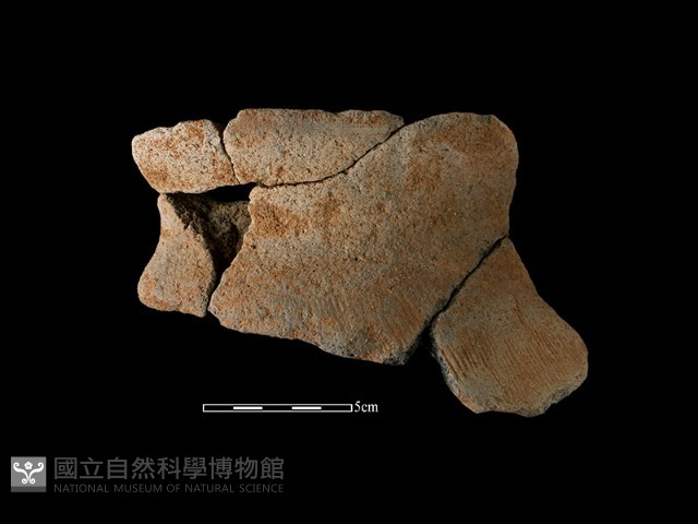 陶罐藏品圖，第2張