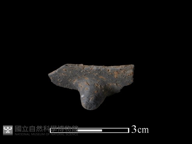 陶鈕藏品圖，第2張