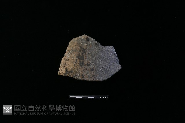 陶片藏品圖，第1張