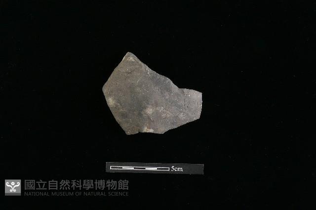 陶片藏品圖，第1張