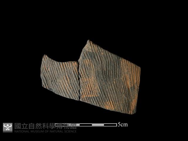 陶片藏品圖，第1張