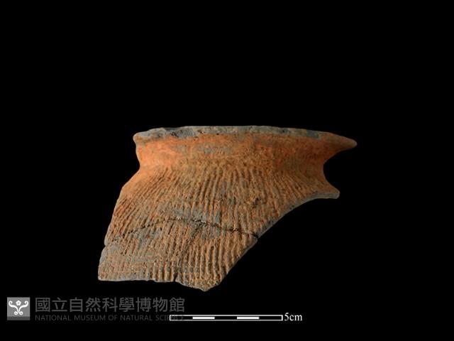 Accession Number:TC-2018-079 Collection Image, Figure 1, Total 3 Figures