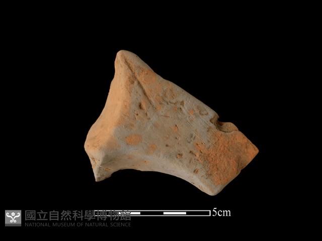 連杯形器藏品圖，第1張