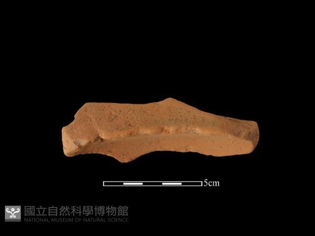 連杯形器藏品圖，第2張