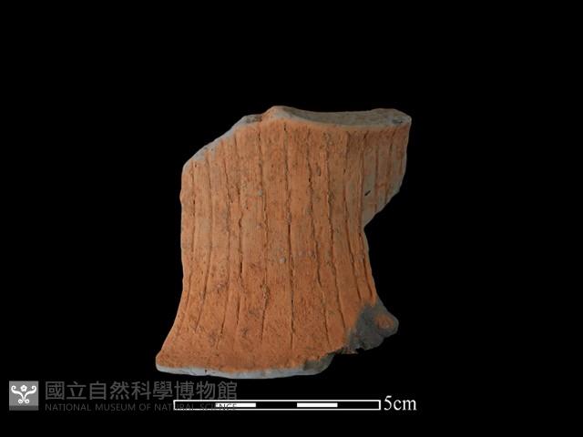 陶片藏品圖，第2張