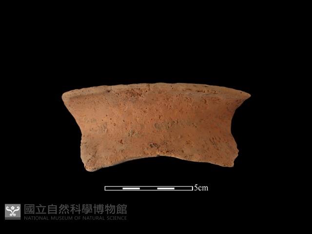 陶罐藏品圖，第1張