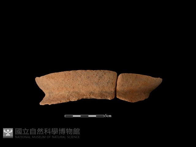 陶罐藏品圖，第2張