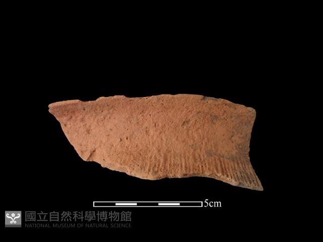 陶罐藏品圖，第1張