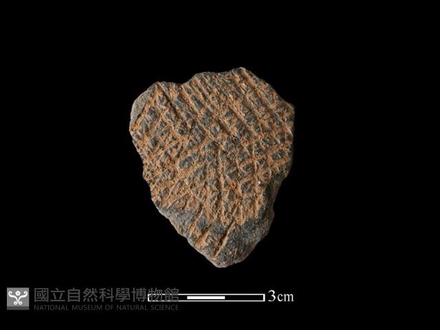 陶片藏品圖，第1張