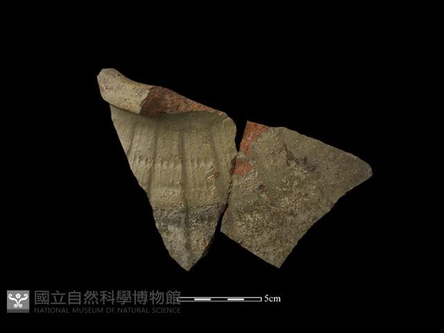 容器藏品圖，第1張