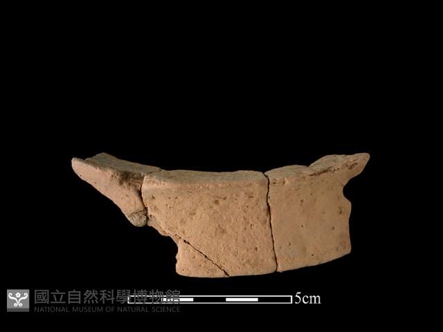 陶片藏品圖，第2張