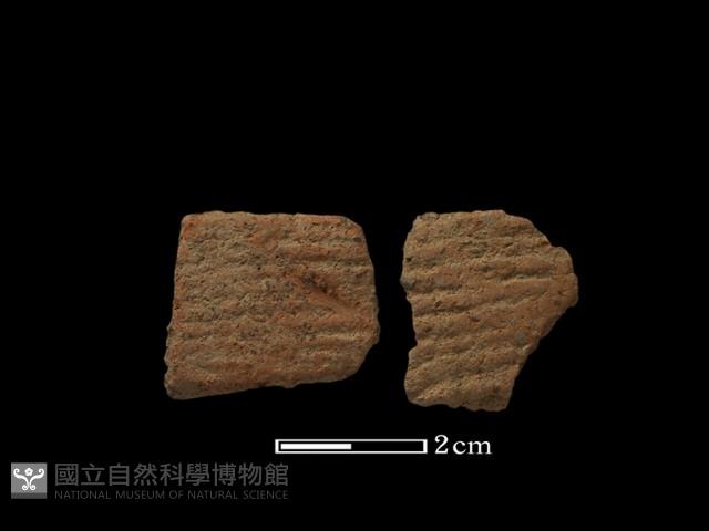 陶片藏品圖，第2張