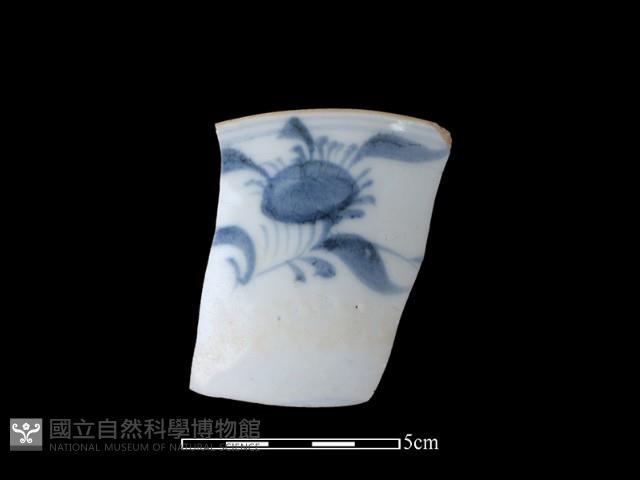 Accession Number:TC-2018-346 Collection Image, Figure 1, Total 2 Figures