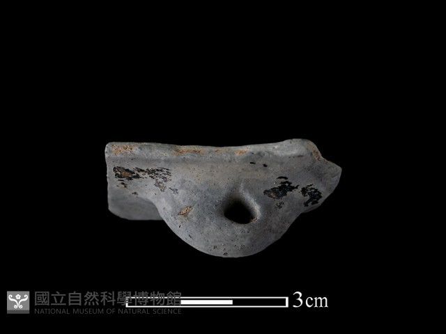 陶鈕藏品圖，第1張