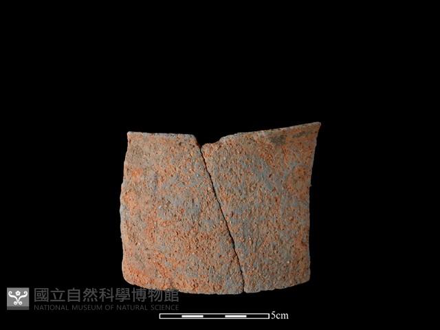 陶片藏品圖，第2張