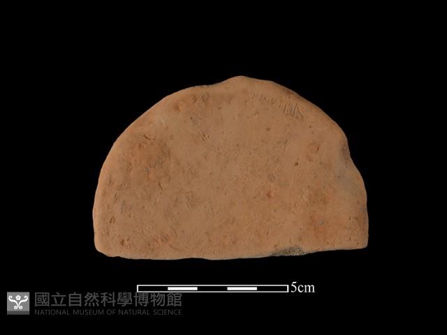 陶片藏品圖，第1張