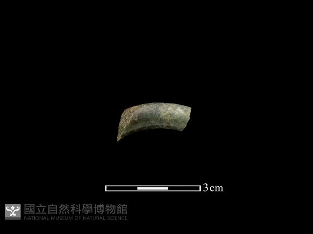 玉環藏品圖，第1張