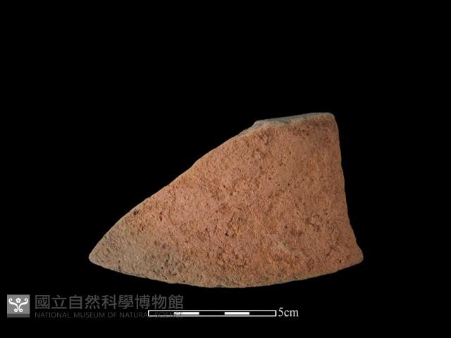 陶片藏品圖，第2張