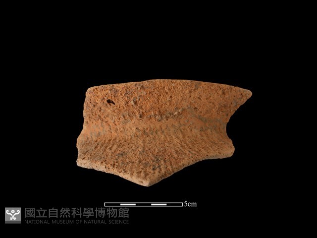 陶罐藏品圖，第1張