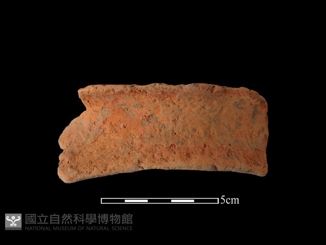 陶罐藏品圖，第1張