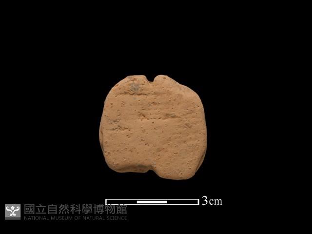 陶片藏品圖，第1張