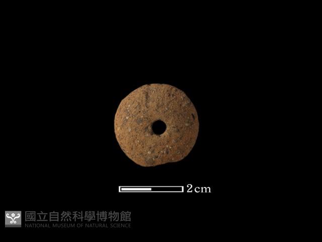 獸牙藏品圖，第2張