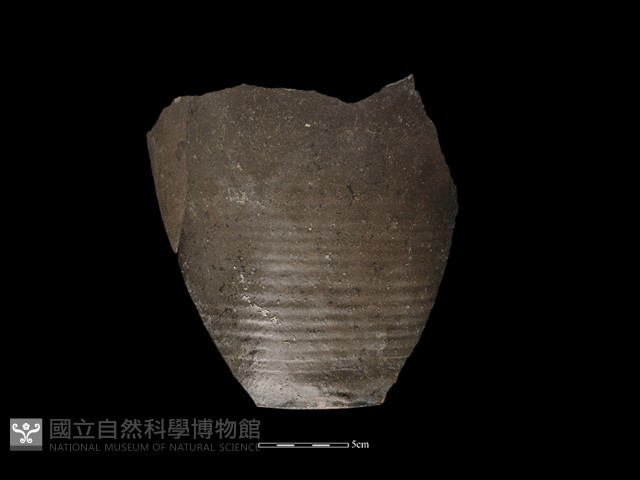 容器藏品圖，第1張