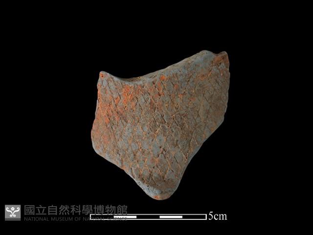 陶片藏品圖，第2張