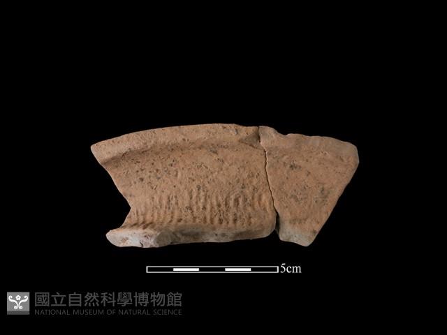 陶罐藏品圖，第2張