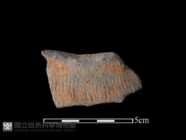 陶片藏品圖，第1張