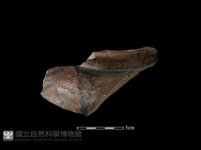 容器藏品圖，第1張