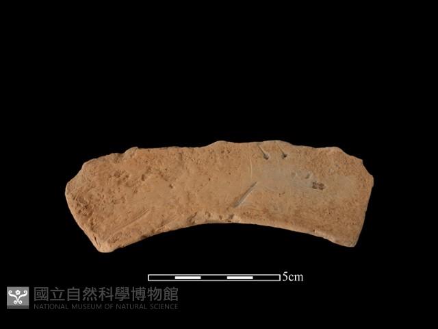 連杯形器藏品圖，第2張