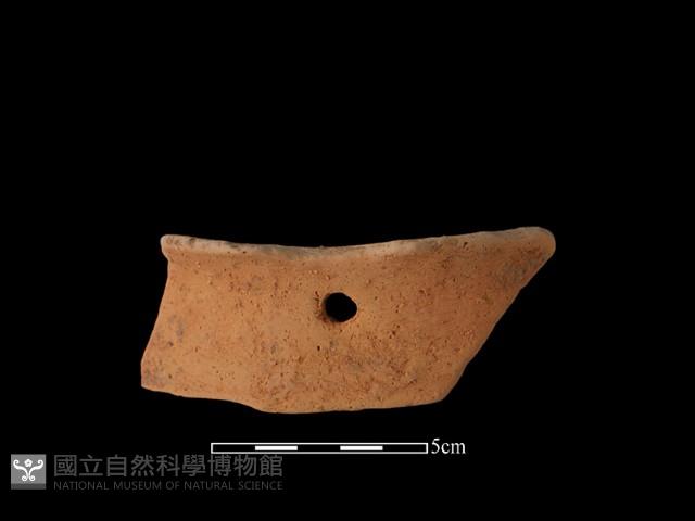 陶片藏品圖，第2張