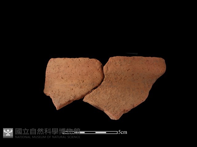 陶罐藏品圖，第1張