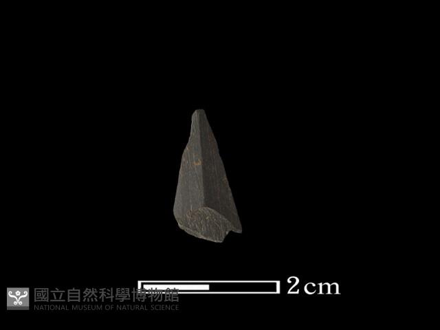 矛鏃形器藏品圖，第2張