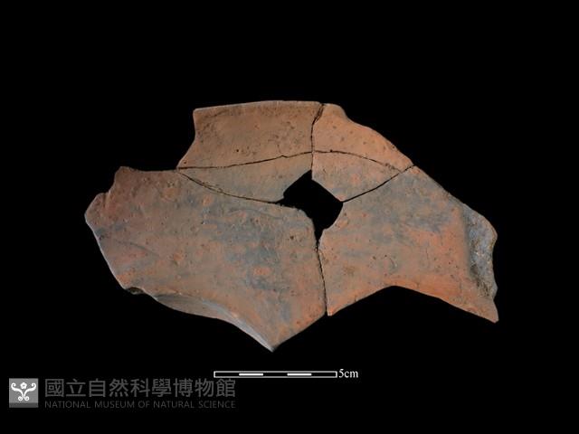 連杯形器藏品圖，第1張