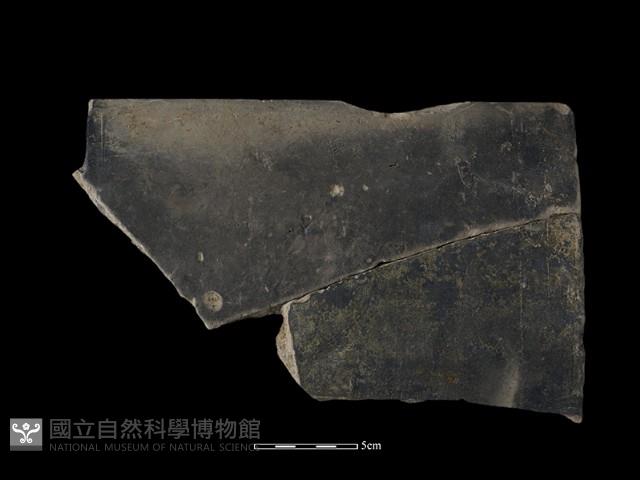 瓦片藏品圖，第1張