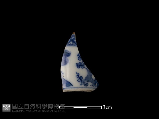 瓷杯藏品圖，第1張