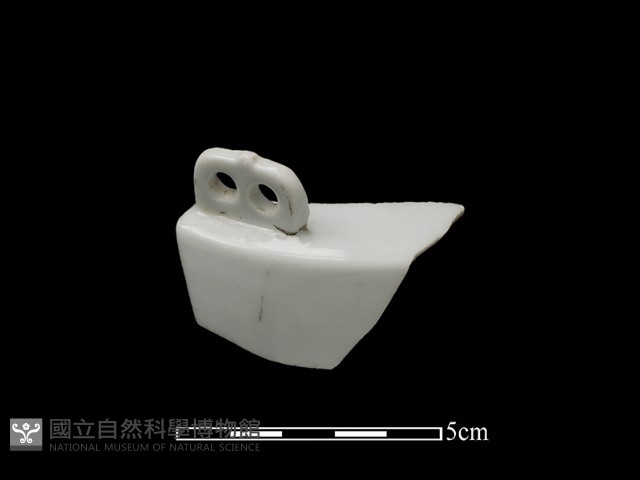 茶壺藏品圖，第1張