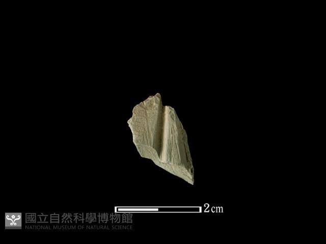 Accession Number:NSKII-2017-087 Collection Image