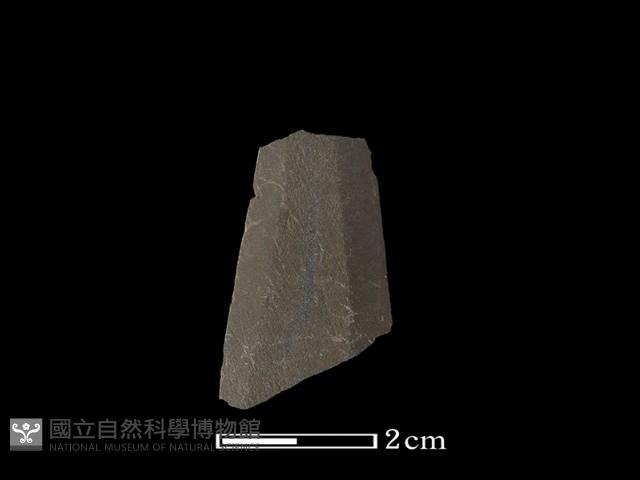 矛鏃形器藏品圖，第1張
