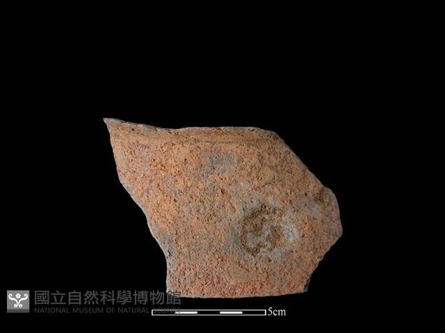 陶片藏品圖，第1張