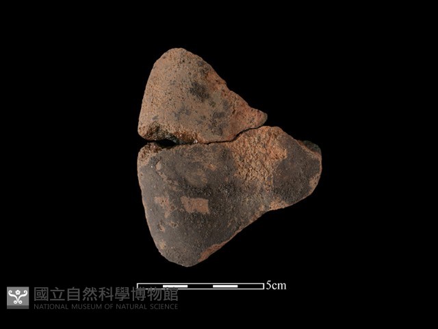陶片藏品圖，第1張