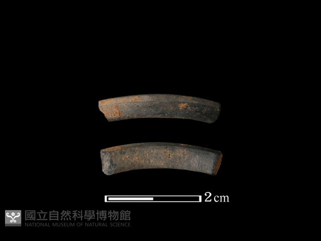 陶環藏品圖，第1張