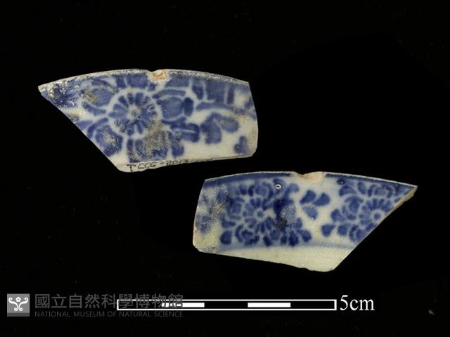 瓷片藏品圖，第1張